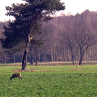 Open dag het Ree, zondag 19 april te Ruurlo