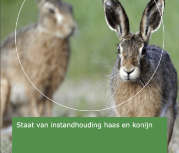 Rapport WUR staat van instandhouding (SvI) haas en konijn in Nederland