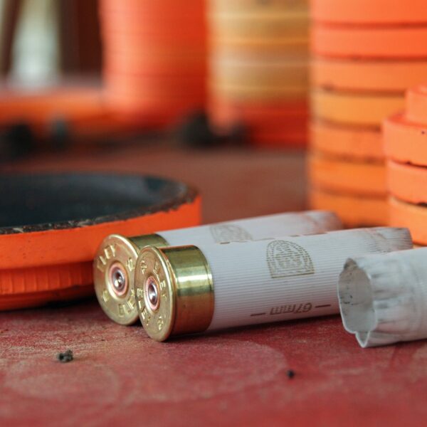 cartridges, shooting, clay