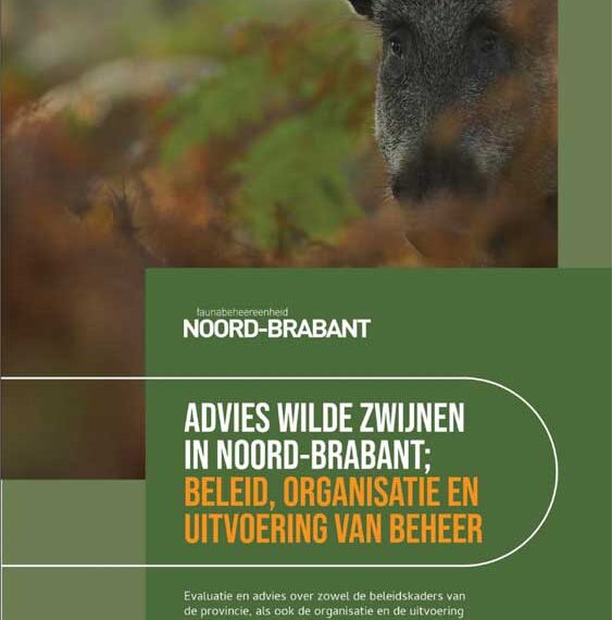 Wilde zwijnen in Noord-Brabant – een scenarioanalyse”
