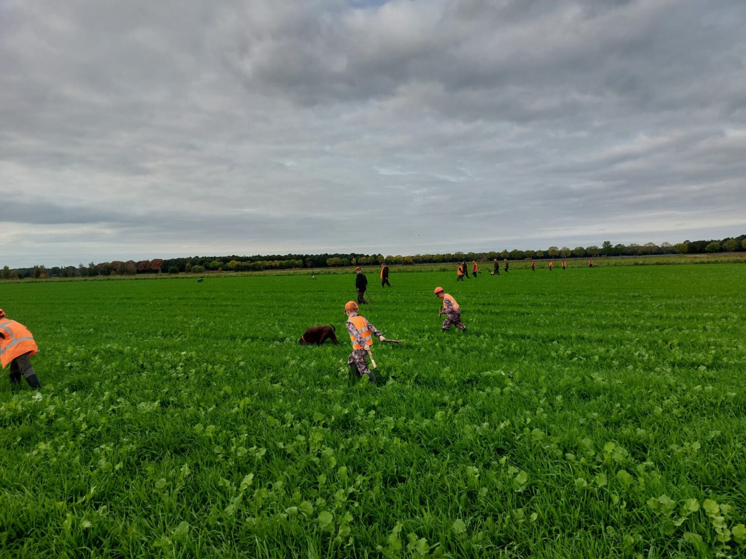 Nederlandse Organisatie voor Jacht en Grondbeheer