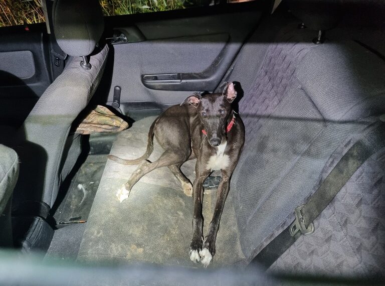 Politie: illegaal gokken en stroperij verstrengeld in gesloten netwerken