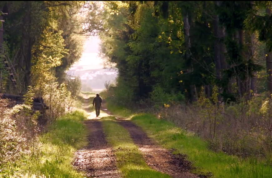Verzamelbrief Natuur