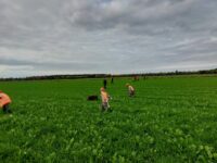 Verlenging Omgevingsvergunning Jachtgeweer Activiteit 2026