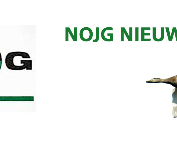 NOJG dient WOO-verzoek in over verplaatsen van hazen in Utrecht