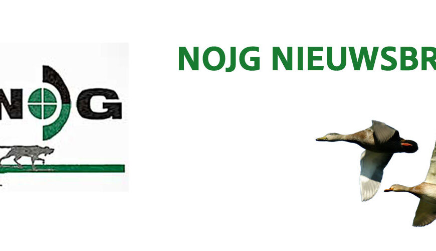 NOJG dient WOO-verzoek in over verplaatsen van hazen in Utrecht