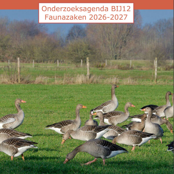 BIJ12 publiceert Onderzoeksagenda Faunazaken 2026-2027