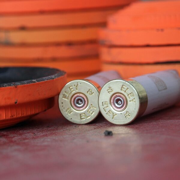 cartridges, shooting, clay, rifle, shot, hunt, competition