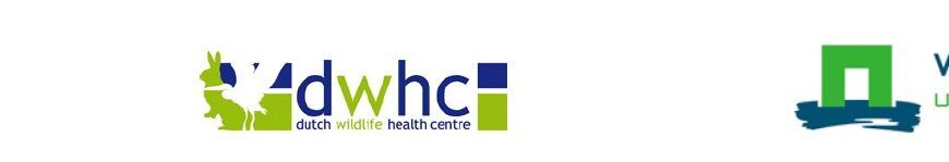 Nieuwsbrief DWHC augustus 2023